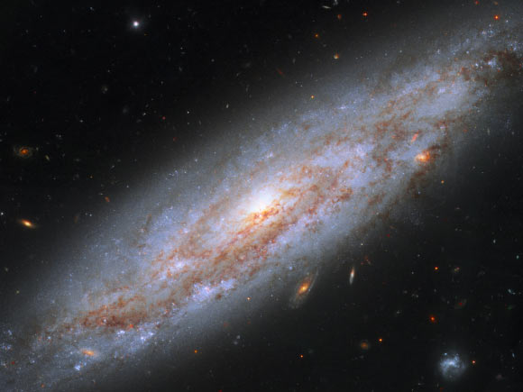 This image, taken with the Wide Field Camera 3 on board the NASA/ESA Hubble Space Telescope, shows the barred spiral galaxy NGC 3972. Image credit: NASA / ESA / Hubble team / A. Riess, STScI & JHU.