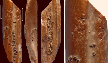 Retoucher from the early hominin Lingjing site, China; white brackets indicate the areas where impact scars are present. Scale bars - 1 cm. Image credit: Doyon et al, doi: 10.1371/journal.pone.0194318.