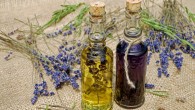Ramsey et al identified eight components of lavender and tea tree oils as endocrine disruptor chemicals. Image credit: Ilona Couleur.