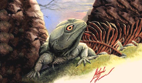 An artist’s rendering of Colobops noviportensis. Image credit: Michael Hanson.