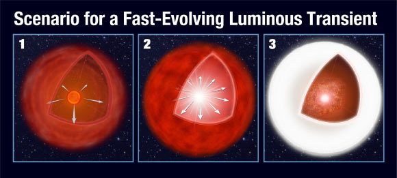 This illustration shows a proposed model for a Fast-Evolving Luminous Transient. In the left panel, an aging red giant star loses mass via a stellar wind. This balloons into a huge gaseous shell around the star. In the center panel, the massive star’s core implodes to trigger a supernova explosion. In the right panel, the supernova shockwave plows into the outer shell, converting the kinetic energy from the explosion into a brilliant burst of light. Image credit: NASA / ESA / A. Field, STScI.