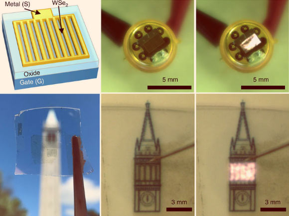 Millimeter-scale transient-electroluminescent device. Top row, from left to right: schematic of a millimeter-scale device, showing the grid source electrode structure to increase active emission area; photographs of a packaged, 3 mm x 2 mm, device in the off and on state. Bottom row: photograph of a millimeter-scale transparent device; photograph of a large area (3 mm x 2 mm) transparent device in the off and on state. Image credit: Lien et al, doi: 10.1038/s41467-018-03218-8.