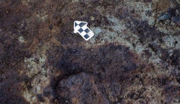 Photograph of a human footprint (center) at the Meay Channel I archaeology site on Calvert Island. Image credit: Duncan McLaren.