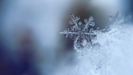 The team’s model reproduces key features of melting snowflakes that have been observed in nature: first, meltwater gathers in any concave regions of the snowflake’s surface; these liquid-water regions merge as they grow and eventually form a shell of liquid around an ice core, finally developing into a water drop. Image credit: Free-Photos.