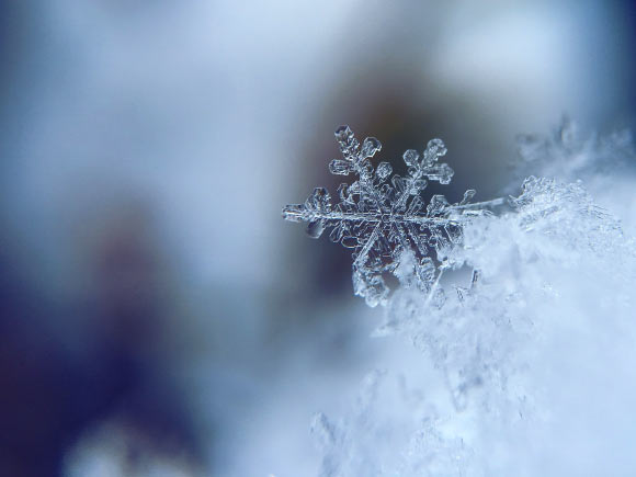 The team’s model reproduces key features of melting snowflakes that have been observed in nature: first, meltwater gathers in any concave regions of the snowflake’s surface; these liquid-water regions merge as they grow and eventually form a shell of liquid around an ice core, finally developing into a water drop. Image credit: Free-Photos.