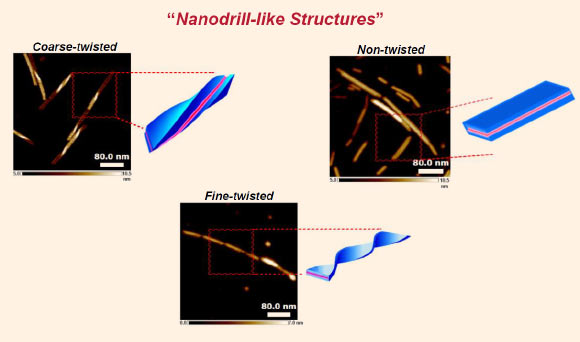 Ashwanikumar et al have developed a drug delivery system using cell-penetrating self-assembling peptide nanomaterials (CSPNs); these drilled-shaped nanomaterials traverse cellular membranes to deliver drugs and can be fine-tuned into different shapes to optimize delivery. Image credit: Ashwanikumar et al, doi: 10.1016/j.jconrel.2018.02.041.