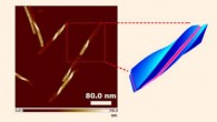 Ashwanikumar et al have developed a drug delivery system using cell-penetrating self-assembling peptide nanomaterials (CSPNs); these drilled-shaped nanomaterials traverse cellular membranes to deliver drugs and can be fine-tuned into different shapes to optimize delivery. Image credit: Ashwanikumar et al, doi: 10.1016/j.jconrel.2018.02.041.
