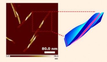 Ashwanikumar et al have developed a drug delivery system using cell-penetrating self-assembling peptide nanomaterials (CSPNs); these drilled-shaped nanomaterials traverse cellular membranes to deliver drugs and can be fine-tuned into different shapes to optimize delivery. Image credit: Ashwanikumar et al, doi: 10.1016/j.jconrel.2018.02.041.