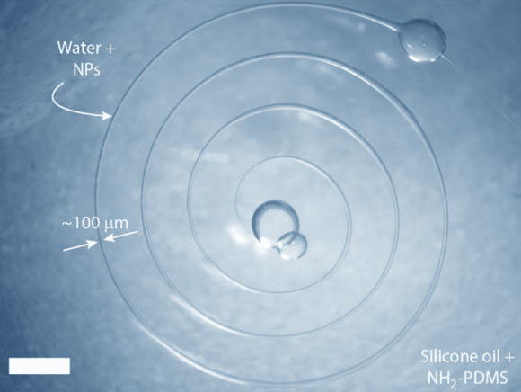 An aqueous spiral, 6.8 cm long, thread thickness 100 μm, in silicone oil. Scale bar - 2 mm. Image credit: Forth et al, doi: 10.1002/adma.201707603.