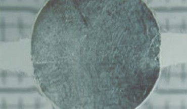 Xu et al achieved a breakthrough, inventing a stretchy new material modeled after both squid skin and Hollywood dinosaurs with remarkable properties. Image credit: Xu et al, doi: 10.1126/science.aar5191.