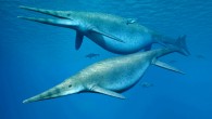 Giant ichthyosaurs Shonisaurus. Image credit: Nobumichi Tamura.