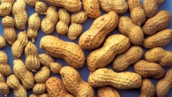 A nasal vaccine successfully suppressed peanut allergy in mice. Image credit: Skeeze.