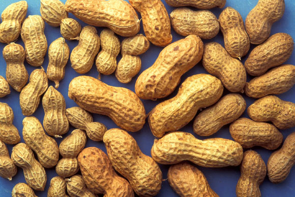 A nasal vaccine successfully suppressed peanut allergy in mice. Image credit: Skeeze.