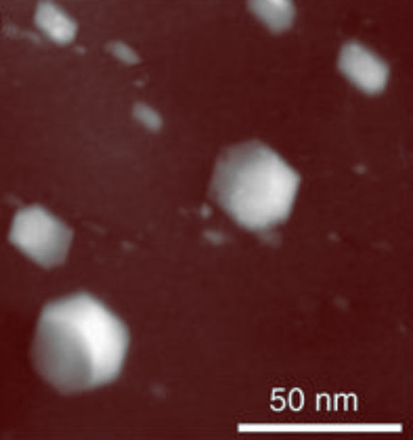 HAADF-STEM image of diamond inclusions in the Almahata Sitta ureilite. Image credit: Nabiei et al, doi: 10.1038/s41467-018-03808-6.