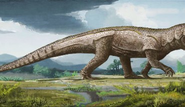 A paleoartist’s reconstruction of Mandasuchus tanyauchen. Image credit: Mark Witton / Trustees of the Natural History Museum, London.