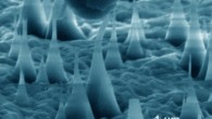 This scanning electron microscope image shows ultrafine diamond needles (cone shapes rising from bottom) being pushed on by a diamond tip (dark shape at top). These images reveal that the diamond needles can bend as much as 9% and still return to their original shape. Image credit: Banerjee et al.