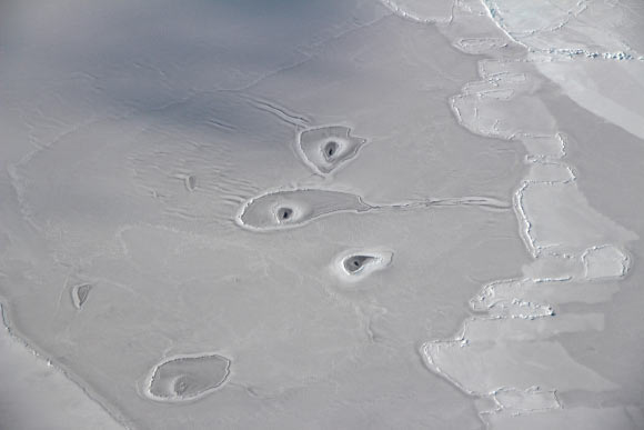 This image shows curious holes in Arctic sea ice, located about 50 miles (80.5 km) northwest of Canada’s Mackenzie River Delta. Image credit: John Sonntag / NASA’s Operation IceBridge Mission.