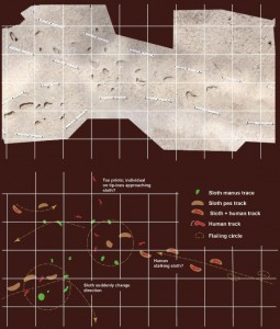 Ice Age Humans Hunted Giant Ground Sloths, Fossilized Footprints Show ...