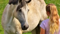 According to Proops et al, some non-human animals can effectively eavesdrop on the emotional state cues that humans reveal on a moment-to-moment basis, using their memory of these to guide future interactions with particular individuals. Image credit: Alexandra / Alexas Fotos.
