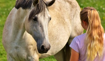 According to Proops et al, some non-human animals can effectively eavesdrop on the emotional state cues that humans reveal on a moment-to-moment basis, using their memory of these to guide future interactions with particular individuals. Image credit: Alexandra / Alexas Fotos.