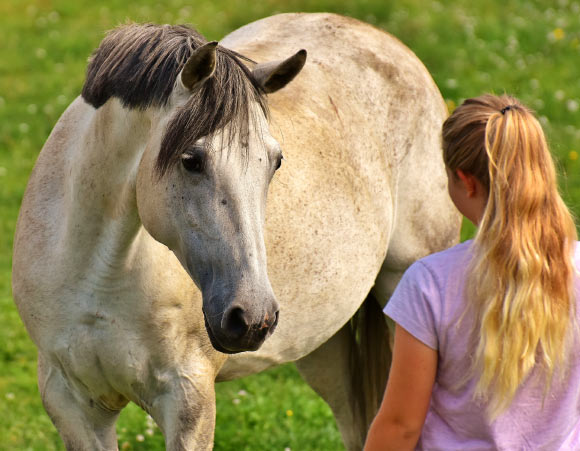 According to Proops et al, some non-human animals can effectively eavesdrop on the emotional state cues that humans reveal on a moment-to-moment basis, using their memory of these to guide future interactions with particular individuals. Image credit: Alexandra / Alexas Fotos.