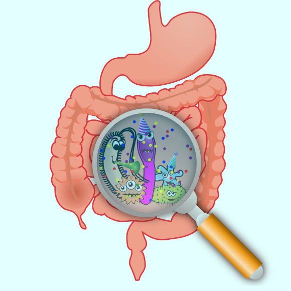 Oxford researchers Katerina Johnson and Kevin Foster argue that understanding why gut microbiome influences behavior requires a focus on microbial ecology and local effects within the host. Image credit: Open Clipart-Vectors.