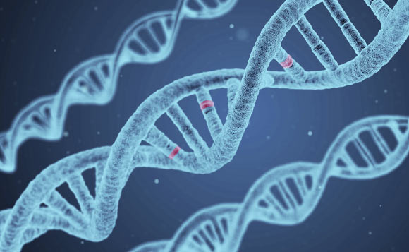 Wray et al conducted a genome-wide association meta-analysis based in 135,458 cases and 344,901 controls and identified 44 independent and significant loci. Image credit: Arek Socha / Sci-News.com.
