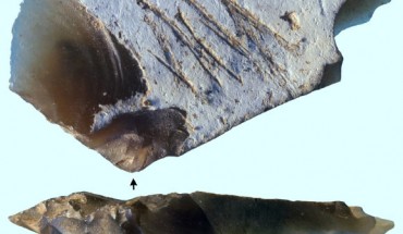 The engraved flint flake from the Kiik-Koba site, Crimea, Ukraine; the arrow indicates the point of impact. Scale bar - 1 cm. Image credit: Majkić et al, doi: 10.1371/journal.pone.0195049.