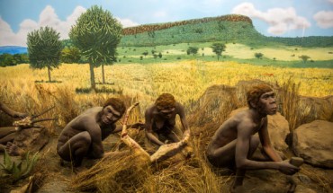 Archaic hominins. Image credit: Ninara / CC BY 2.0.
