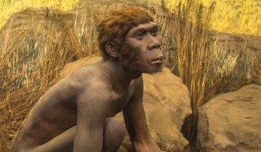 An archaic hominin. Image credit: Ninara / CC BY 2.0.