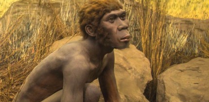 An archaic hominin. Image credit: Ninara / CC BY 2.0.
