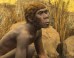 An archaic hominin. Image credit: Ninara / CC BY 2.0.