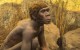 An archaic hominin. Image credit: Ninara / CC BY 2.0.