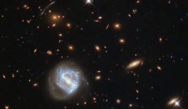 At first glance, this Hubble image is dominated by the glow of the swirling spiral to the lower left of the frame. However, this galaxy is far from the most interesting spectacle here -- behind it sits the galaxy cluster SDSS J0333-0651. Image credit: NASA / ESA / Hubble.