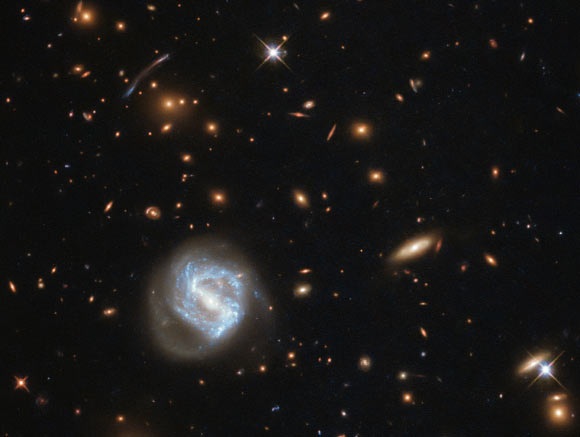 At first glance, this Hubble image is dominated by the glow of the swirling spiral to the lower left of the frame. However, this galaxy is far from the most interesting spectacle here -- behind it sits the galaxy cluster SDSS J0333-0651. Image credit: NASA / ESA / Hubble.