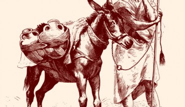 Domestic donkeys were being ridden and controlled with bits during the early 3rd millennium BC in the southern Levant, very soon after they were domesticated in the late 4th millennium in northeast Africa. Image credit: Open Clipart Vectors.