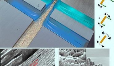 Assembly of nanostructured CNF fibers. Upper image: schematic of double flow-focusing channel used for CNF assembly; the CNF suspension is injected in the core flow (light brown color), deionized water (blue color) in the first sheath, and acid at low pH (light green color) in the second sheath flows; arrows show the flow direction; hydrodynamic and electrostatic interactions at different positions along the channel are illustrated schematically on the right. Bottom images: SEM image (left) of the fiber surface, where the dense fibrillar network with well-preserved anisotropic arrangement can be seen; SEM image (right) of the cross section of the fiber, showing the aligned nanofibrils. Scale bars are 3 μm; in insets are 400 nm. Image credit: Mittal et al, doi: 10.1021/acsnano.8b01084.