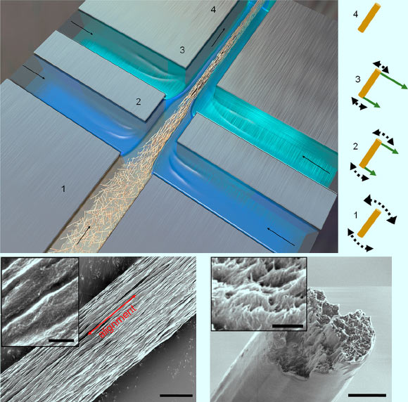 Assembly of nanostructured CNF fibers. Upper image: schematic of double flow-focusing channel used for CNF assembly; the CNF suspension is injected in the core flow (light brown color), deionized water (blue color) in the first sheath, and acid at low pH (light green color) in the second sheath flows; arrows show the flow direction; hydrodynamic and electrostatic interactions at different positions along the channel are illustrated schematically on the right. Bottom images: SEM image (left) of the fiber surface, where the dense fibrillar network with well-preserved anisotropic arrangement can be seen; SEM image (right) of the cross section of the fiber, showing the aligned nanofibrils. Scale bars are 3 μm; in insets are 400 nm. Image credit: Mittal et al, doi: 10.1021/acsnano.8b01084.