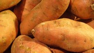 The sweet potato (Ipomoea batatas). Image credit: Llez / CC BY-SA 3.0.