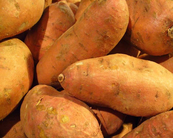 The sweet potato (Ipomoea batatas). Image credit: Llez / CC BY-SA 3.0.