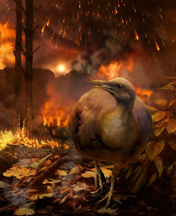 A hypothetical surviving bird lineage -- small-bodied and specialized for a ground-dwelling lifestyle -- flees a burning forest in the aftermath of the asteroid strike. Image credit: Philipp M. Krzeminski.