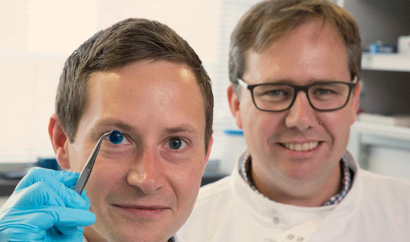 Newcastle University researchers Steve Swioklo and Che Connon with a dyed cornea. Image credit: Newcastle University.