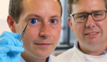 Newcastle University researchers Steve Swioklo and Che Connon with a dyed cornea. Image credit: Newcastle University.