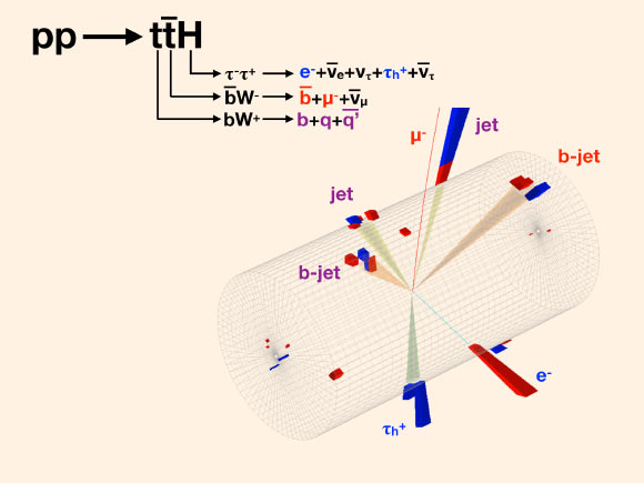 An event candidate for the production of a top quark and top antiquark pair in conjunction with a Higgs boson in CMS; the Higgs decays into a tau+ lepton, which in turn decays into hadrons and a tau- , which decays into an electron; the decay product symbols are in blue; the top quark decays into three jets (sprays of lighter particles) whose names are given in purple; one of these is initiated by a b-quark; the top antiquark decays into a muon and b-jet, whose names appear in red. Image credit: CMS Collaboration.