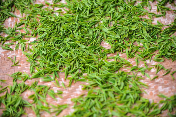 Green tea leaves. Image credit: S.X.H.