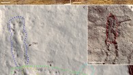 Trackways and burrows excavated in situ from the Shibantan Member, Dengying Formation, China: (A and B) epirelief (top bedding surface) and hyporelief (bottom bedding surface), respectively; trackways (TW1 and TW2) and undermat burrows (UB1 to UB3) are labeled; (C) latex mold of (B), with trackways and burrows marked and labeled; (D) enlargement of rectangle in (B), showing connection between TW2 and UB3 (marked). Scale bars - 2 cm. Image credit: Chen et al, doi: 10.1126/sciadv.aao6691.