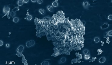 Cometary-type interplanetary dust particle collected by NASA aircraft. Image credit: Hope Ishii, University of Hawaii at Manoa.