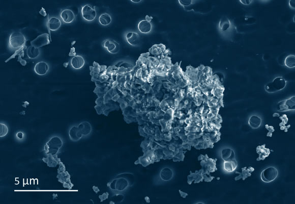 Cometary-type interplanetary dust particle collected by NASA aircraft. Image credit: Hope Ishii, University of Hawaii at Manoa.
