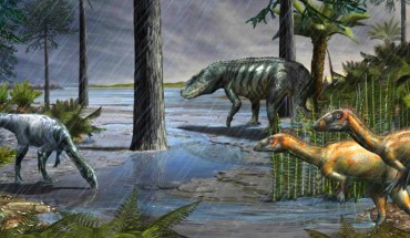 An artist’s impression of an ancient ecosystem. Image credit: Davide Bonadonna.