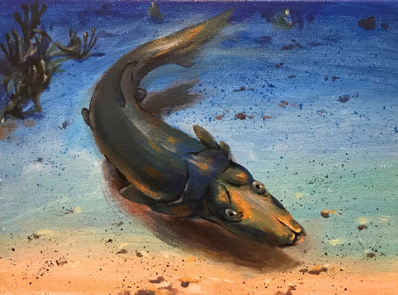 Life reconstruction of Brindabellaspis stensioi. Image credit: Jason Art, Shenzhen.